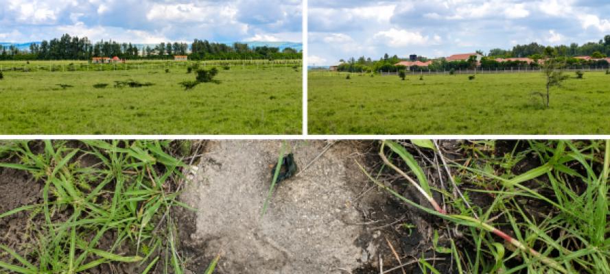 Exclusive Land Offer